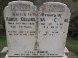 image of grave number 219038